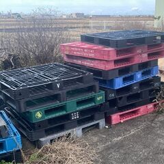 【残りわずか】0円パレット放出中！早い者勝ち！（福井・坂井市）倉庫パレット差し上げますの画像