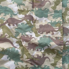 120レインコート　恐竜　の画像