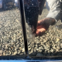 NBOX カスタム　黒の画像