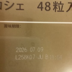 フェレロ ロシェ T-48 48個の画像