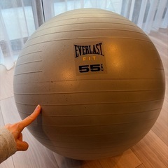 お家でフィットネス◎FiNC ウェルネスボール ダークグレーの画像