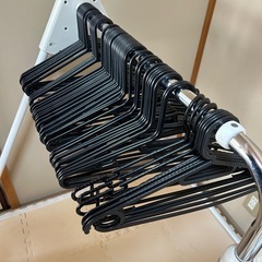 ハンガー55個の画像