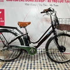 No.590 ブリヂストンカジュナe ベーシックライン CB6B40自動充電機能　整備済みの画像