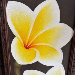 木枠のプルメリアの絵④の画像