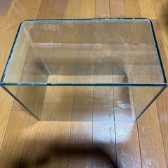 小型 ガラス水槽の画像