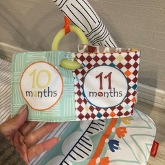 フィッシャープライズベビージムの画像