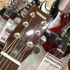 78～80年 YAMAHA FG-151B！年末トレファク越谷アコギ祭り！ジャパンヴィンテージ放出中！の画像