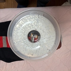 取りに来てもらえる方の画像