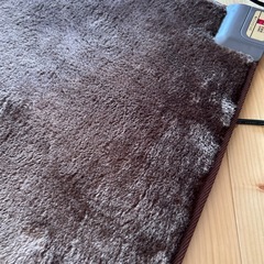 ホットクッション（座布団サイズ）の画像