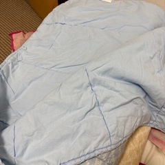 セリーヌ　　肌掛け布団  2枚の画像