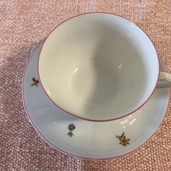 Richard Ginoriティーカップ の画像