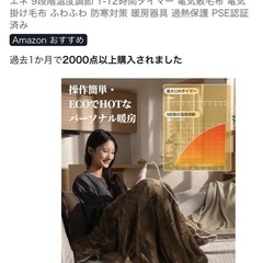 新品　美品の電気毛布(掛け/敷き両用)を3割価格で出品 の画像