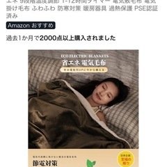 新品　美品の電気毛布(掛け/敷き両用)を3割価格で出品 の画像