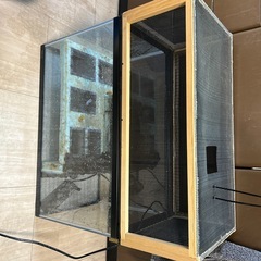 イモリ用水槽の画像