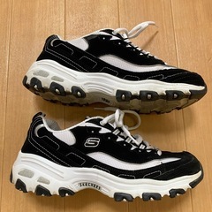 スケッチャーズ　スニーカー　レディース　24.5㎝の画像