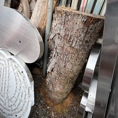 杉丸太、輪切りの画像