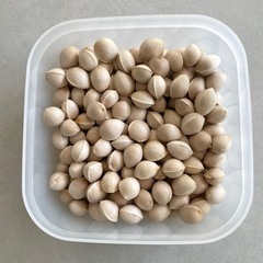 銀杏【小粒 500g】乾燥済みの画像