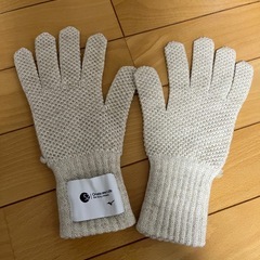 ミズノ　レディース　手袋の画像