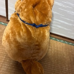 柴犬　ぬいぐるみの画像