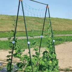 ガーデニング/園芸　支柱多数の画像