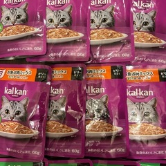 シニアキャットフード　まとめ売り　の画像