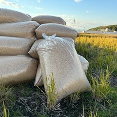 籾殻　1袋500円
の画像