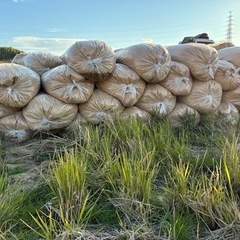 籾殻　1袋500円
の画像