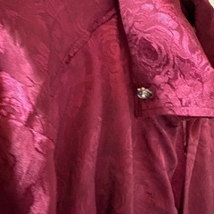 ホストシャツの画像