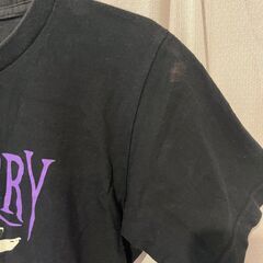リッスンフレーバー　パンクｔシャツの画像