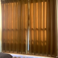 カーテン　黄色　の画像