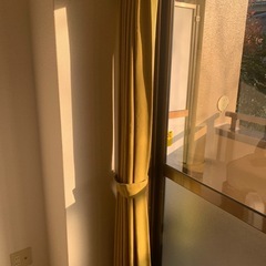 カーテン　黄色　の画像