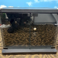 テレビ台の画像