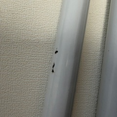 つっぱり棒 170〜280センチ　1本はジャンク品の画像