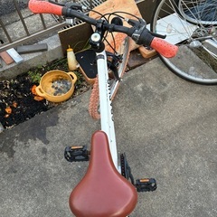 22インチ子供自転車の画像