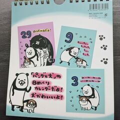パンダと犬　日めくりカレンダーの画像