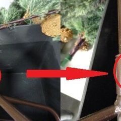 未使用/新品　訳あり特価　クリスマスツリー 180cm ポット付き おしゃれ ツリー リアル ヌードツリー スリム 松ぼっくり付 　アウトレットの画像