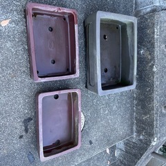 盆栽の鉢の画像