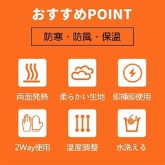 電熱 手袋 グローブ ヒーター手袋 ヒーターグローブ 電熱グローブ レディースの画像