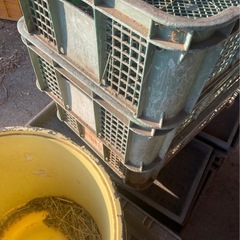 苗箱、収穫箱、色々の画像