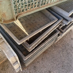 苗箱、収穫箱、色々の画像