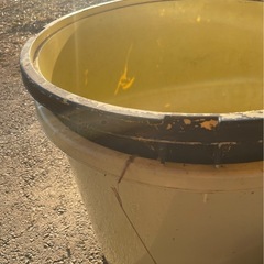 苗箱、収穫箱、色々の画像