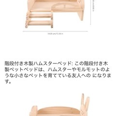 小動物ベッドの画像