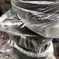 ホイール付き冬タイヤーの画像