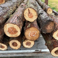 杉の木　丸太　約4メートル１本2000円の画像