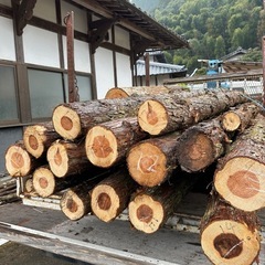 杉の木　丸太　約4メートル１本2000円の画像