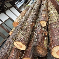 杉の木　丸太　約4メートル１本2000円の画像