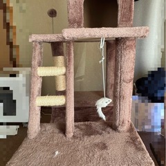 キャットタワーの画像