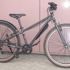 自転車★マウンテンバイク★DRIDE XX ドライドダブルエックス★ファットバイク★６段変速★26インチの画像