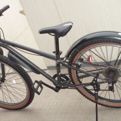 自転車★マウンテンバイク★DRIDE XX ドライドダブルエックス★ファットバイク★６段変速★26インチの画像