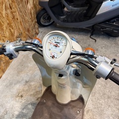 【早い者勝ち!!／毎回即売れ!!🙆🏽🔥】在庫有◎可愛いスクーピーが入庫しました!!の画像